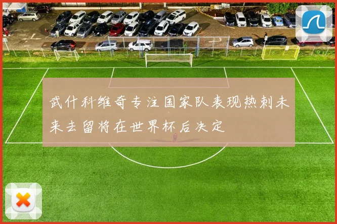 武什科维奇专注国家队表现热刺未来去留将在世界杯后决定